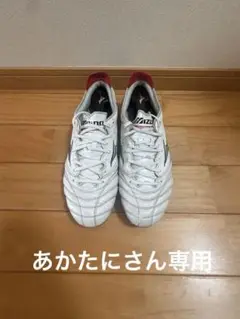 モレリアネオ 26cm