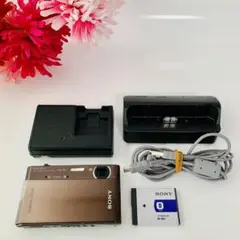 【旅行に】ソニー SONY DSC-T900 コンパクトデジタルカメラ ブラウン