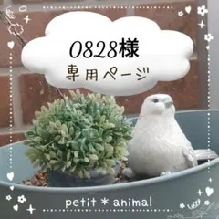 ◯専用ページ◯