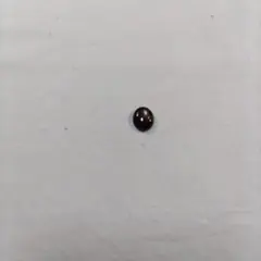 ブラックスター