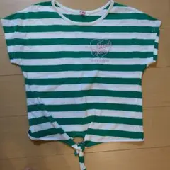 PINKLATTE ピンクラテ　ボーダー　 Tシャツ M　165