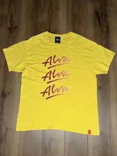 ALVA SKATE Tシャツ