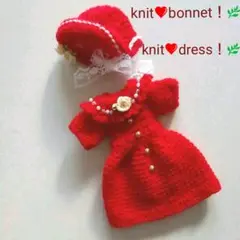 赤色ボンネットのニット帽子u0026ニットワンピース☆ジェニー、リカちゃん人形用お洋服