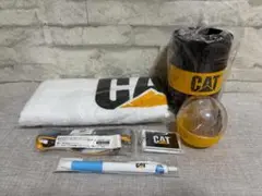 Item thumbnail for item 484522ea-9b4a-48a2-bef5-d6e4a2f61569