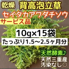 Item thumbnail for item 606a10b0-5476-434d-9b4b-974a7e79d7bb