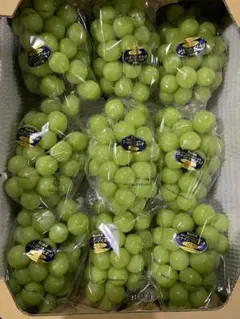 岡山県産‼️シャインマスカット‼️晴王‼️5キロ‼️9房‼️秀品‼️