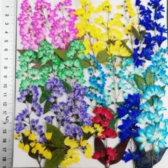 ヒメウツギ　染めNO6 　押し花 押し花素材 @¥850