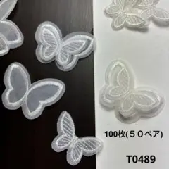 Item thumbnail for item 5e12f13c-c0f0-4067-a2fc-d34e8d952540