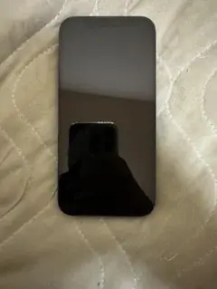 iPhone 12 Pro パシフィックブルー 256GB