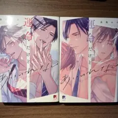 運命だけどあいいれない 永条エイ 1.2巻セット