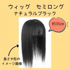 セミロング　部分ウィッグ　【ナチュラルブラック】　前髪あり　頭頂部　ウィッグ