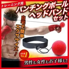 ボクシング パンチングボール タップボール 筋トレ ダイエット トレーニング