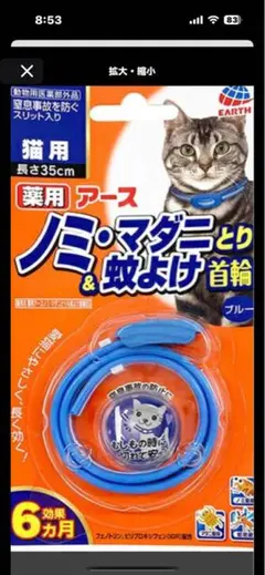 Item thumbnail for item 3a505c9a-3070-4cab-8f01-7ad719a888ba