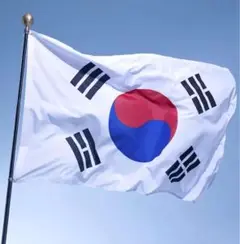 韓国 大韓民国 国旗 フラッグ 応援 150c 旗 サッカー インテリア 代表