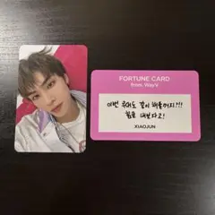 SMTOWN MD WayV 威神V トレカ シャオジュン