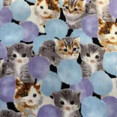 猫柄生地