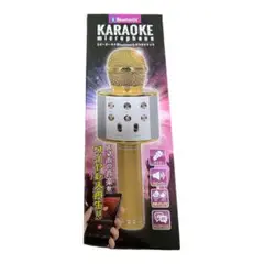 すぐ発送！未使用未開封☆カラオケマイク
