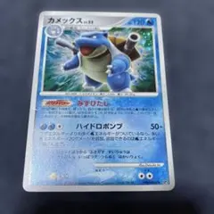 カメックス　みずびたし　1ed