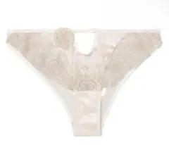 Item thumbnail for item 4d2167f2-fce6-4d81-b40b-3b1d6c284db9