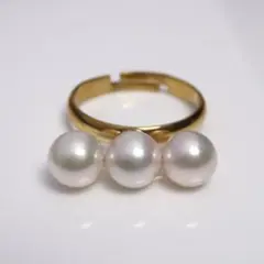 Item thumbnail for item 662bff1d-c213-4f13-b25d-9bac6ac893a2