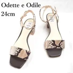 Odette e Odile*オデット エ オディール*24cm*L3332