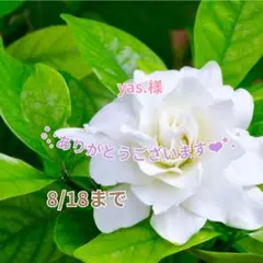 yas.様 おまとめパーツ(˘͈ᵕ ˘͈ *)♡