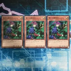 聖なる魔術師　パラレル3枚セット