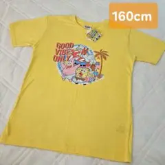 スポンジボブ Ｔシャツ 160cm