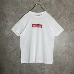 【激レア】ボックスロゴTシャツ stay home 著名人着用 人気 着回し抜群