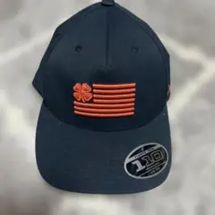 Item thumbnail for item 41bfa1ca-8286-4893-879b-765f55b588a1