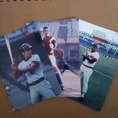 広島カープLサイズ写真1973年