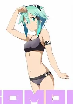A4ポスター シノン　SAO ソードアート・オンライン　ファンアート