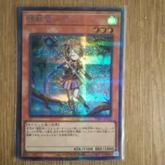 霊獣使い ウェン シークレットパラレル