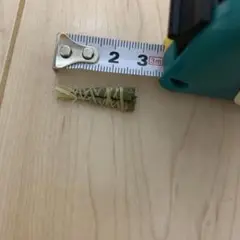 ドールハウス　ミニチュア　ヘチマ