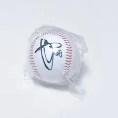 ヤクルトスワローズ　梅野雄吾　直筆サインボール