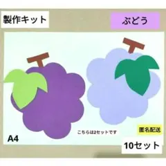 ぶどう　製作キット　保育　壁面　幼稚園　保育園　製作　秋　9月　10月
