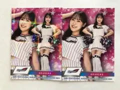 Item thumbnail for item 6b54b29f-6f65-4bc7-9a27-a332a8a88a7f