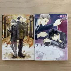 ２冊セット　ステノグラフィカ　アンフォーゲタブル　一穂ミチBL小説