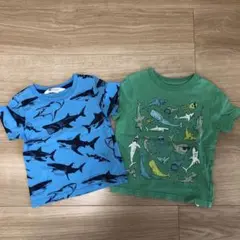 H&M GAP サメ柄 Tシャツ 2枚セット　90 95
