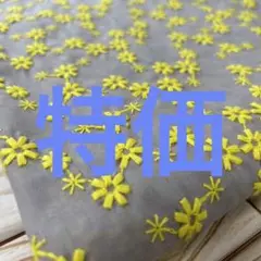 Item thumbnail for item 6b0f4224-e560-4559-bbe2-90c81ab7df06