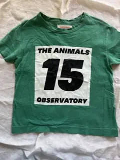 THE ANIMALS OBSERVATORY Tシャツ 6yグリーン