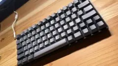 REALFORCE RC1 英字配列 30g C1HK13