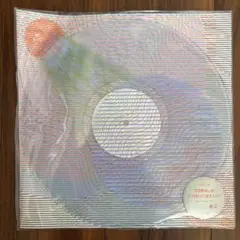 Tempalay millennium parade 常田大希 LPレコード