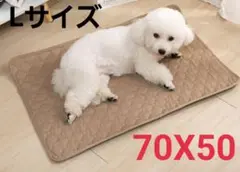 Item thumbnail for item cc7c3a5b-4849-4b59-adbf-b79ab4e089b5