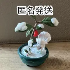 【匿名発送】★ポケモン★ぽけっとBONSAI アローラロコン