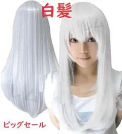 Item thumbnail for item 5b46e416-0d05-4d6d-aeeb-1d903dadc7c2