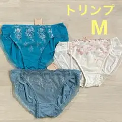 Item thumbnail for item f08e1ae8-7ab3-41db-8b3c-58a71f8bce9b