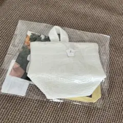 ピオヌンナル　アイドル