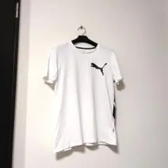 PUMA Ｔシャツ Ｍサイズ
