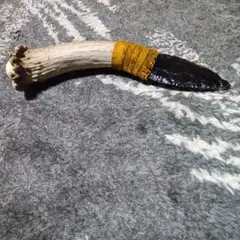 Item thumbnail for item e140af8d-310d-4bf6-9130-56ebfb5d66ff